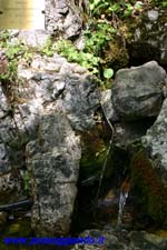 La fontana dell'eterna giovinezza
