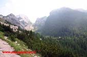 La forcella Camp