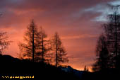 Alba