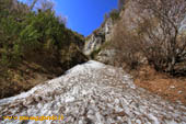 Lingua neve