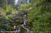 Sorgenti