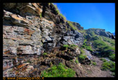 Rocce