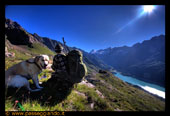 LA caccia fotografica