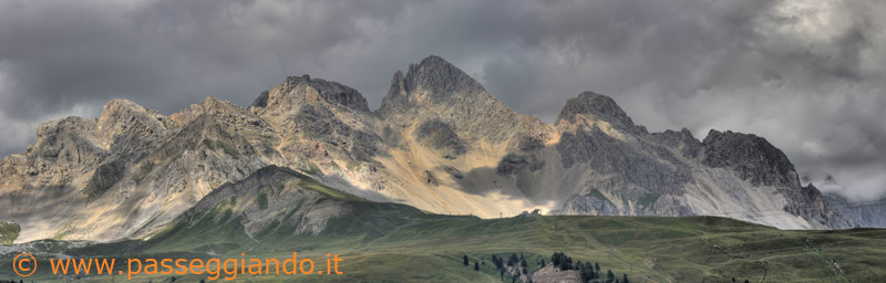 Cima Uomo