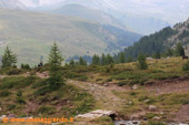 In discesa