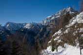 Cime