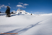 Croda e ombre