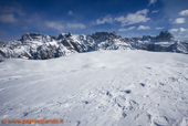Pano da Cima Specie