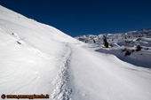 Bianco candore