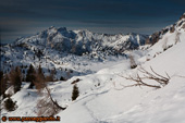 Dall'alto