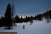 Nel bosco ... sbagliando sentiero