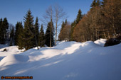I colori dell'inverno