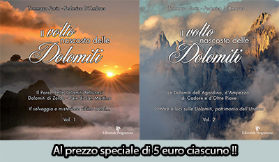 Copertina interna libro